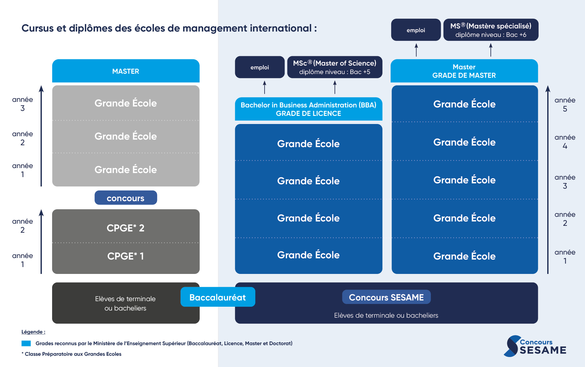 Cursus et diplômes des écoles en management international